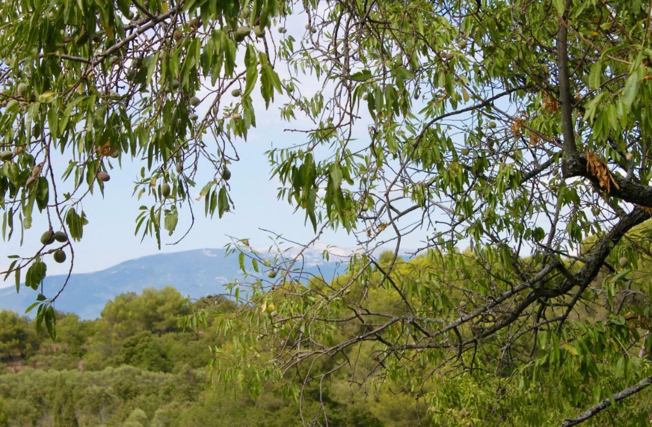 Mas De La Gonnette Villa Venasque Luaran gambar